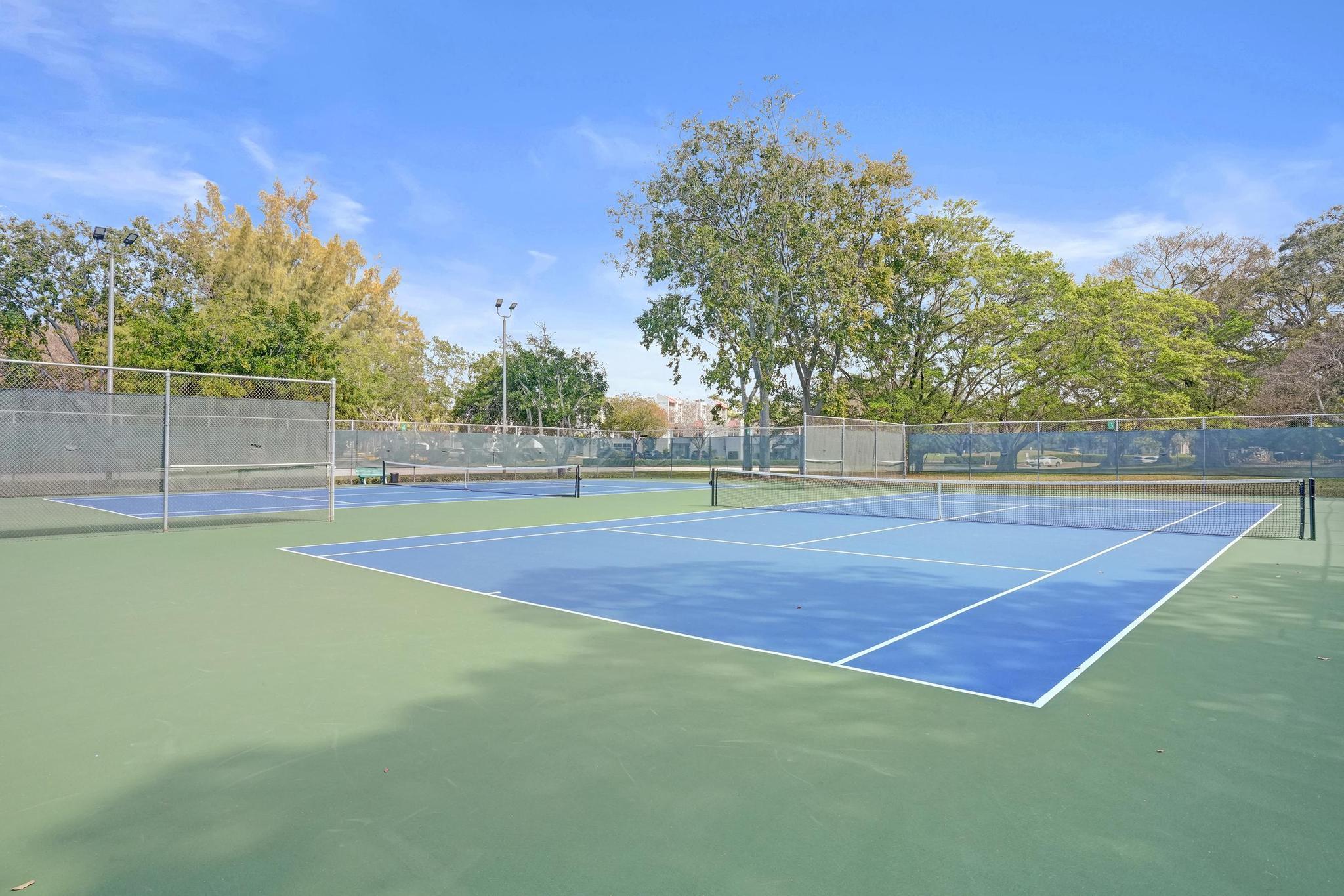 CONDO 6 OF SABAL PALM CONDOS - Residential