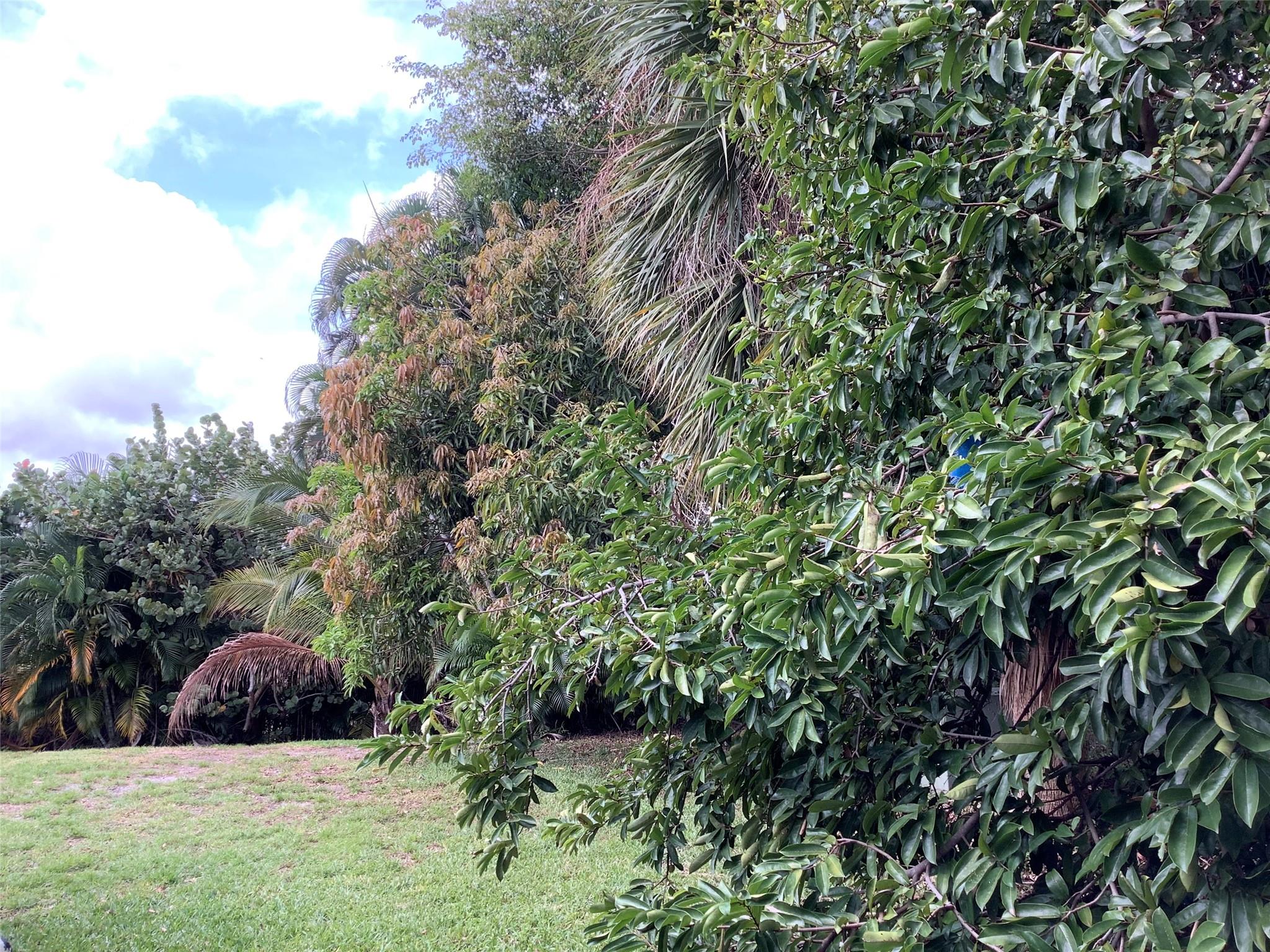 Spring Lake Villas Condo - Residential Lease