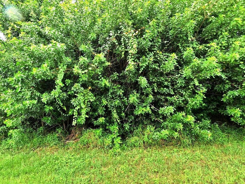 Photo of 582 SW Sadwick Avenue, Port Saint Lucie, FL 34953 (MLS # R10703285)