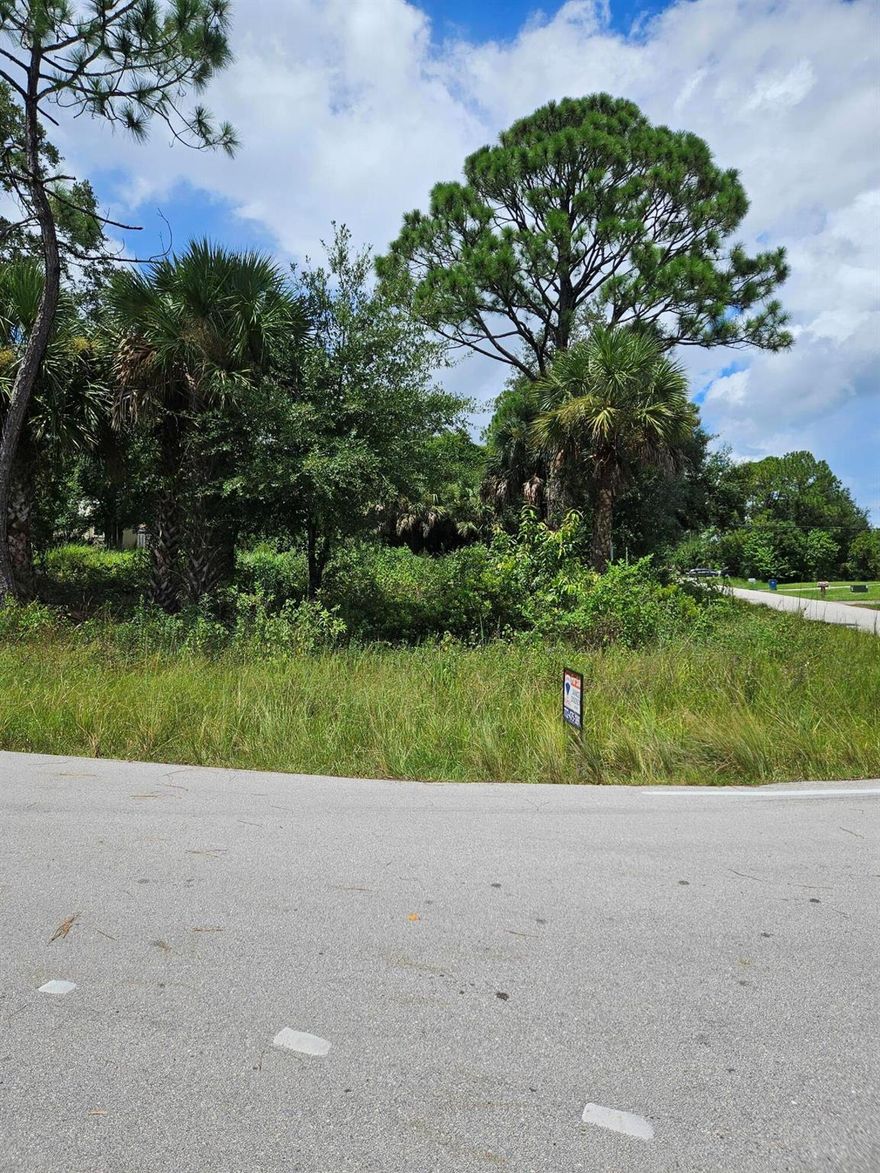 Premium corner lot ready to build your dream home. This property is located within a short distance to Shopping, Schools, and the I95 expressway to make commuting seamless. The community is mainly new construction homes just waiting for you to join the family.