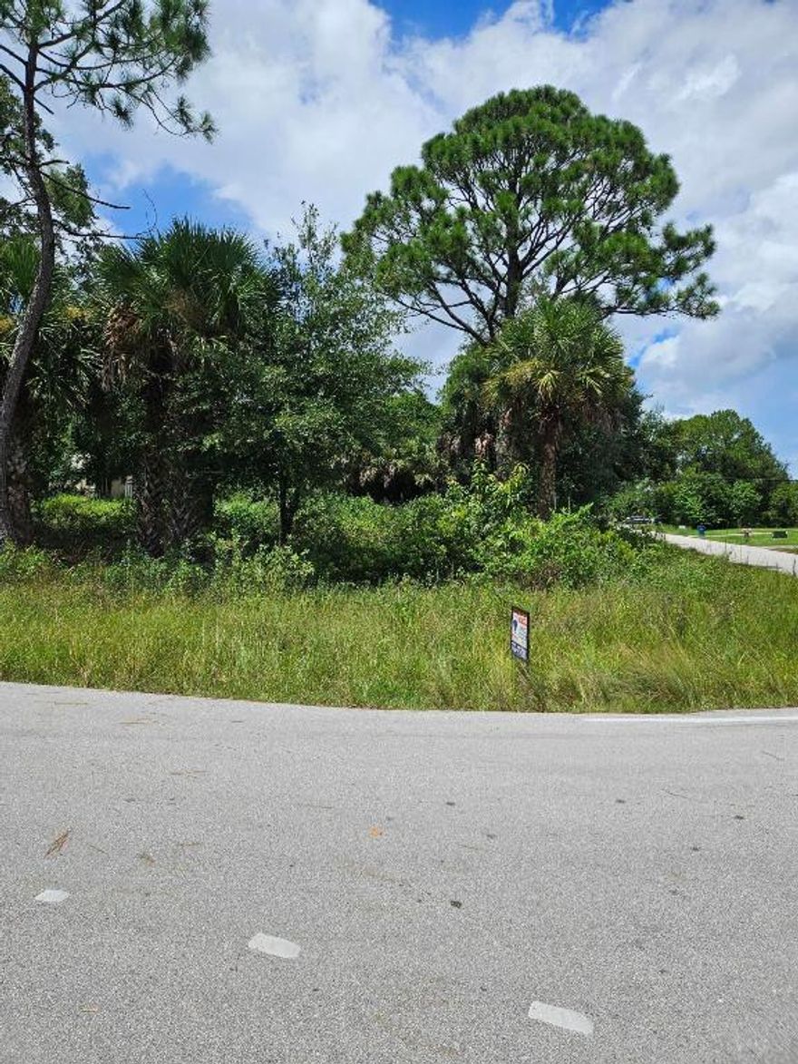 Premium corner lot ready to build your dream home. This property is located within a short distance to Shopping, Schools, and the I95 expressway to make commuting seamless. The community is mainly new construction homes just waiting for you to join the family.