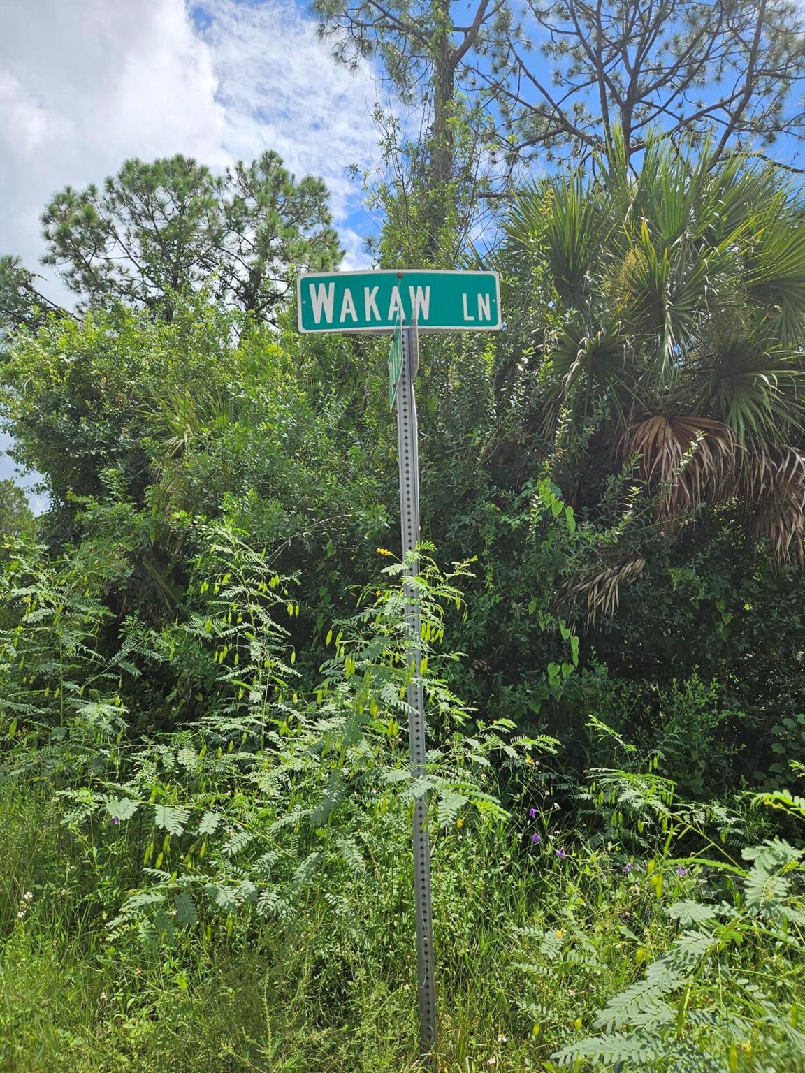 307 Wakaw Lane SW