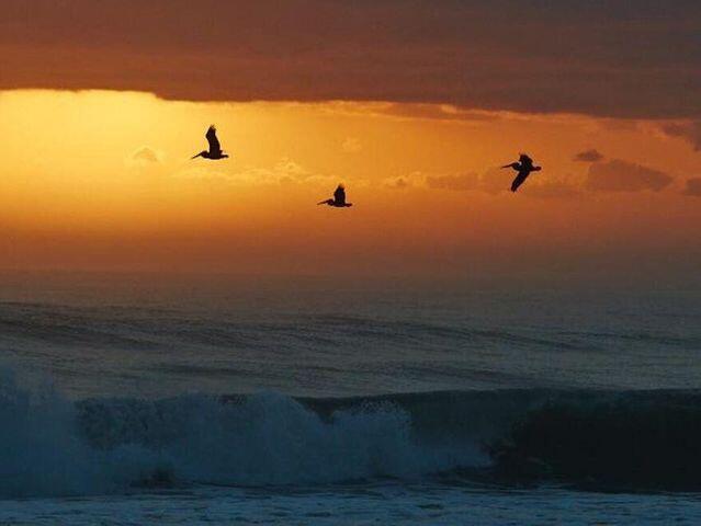 MAYAN TOWERS CONDO I - Residential Lease