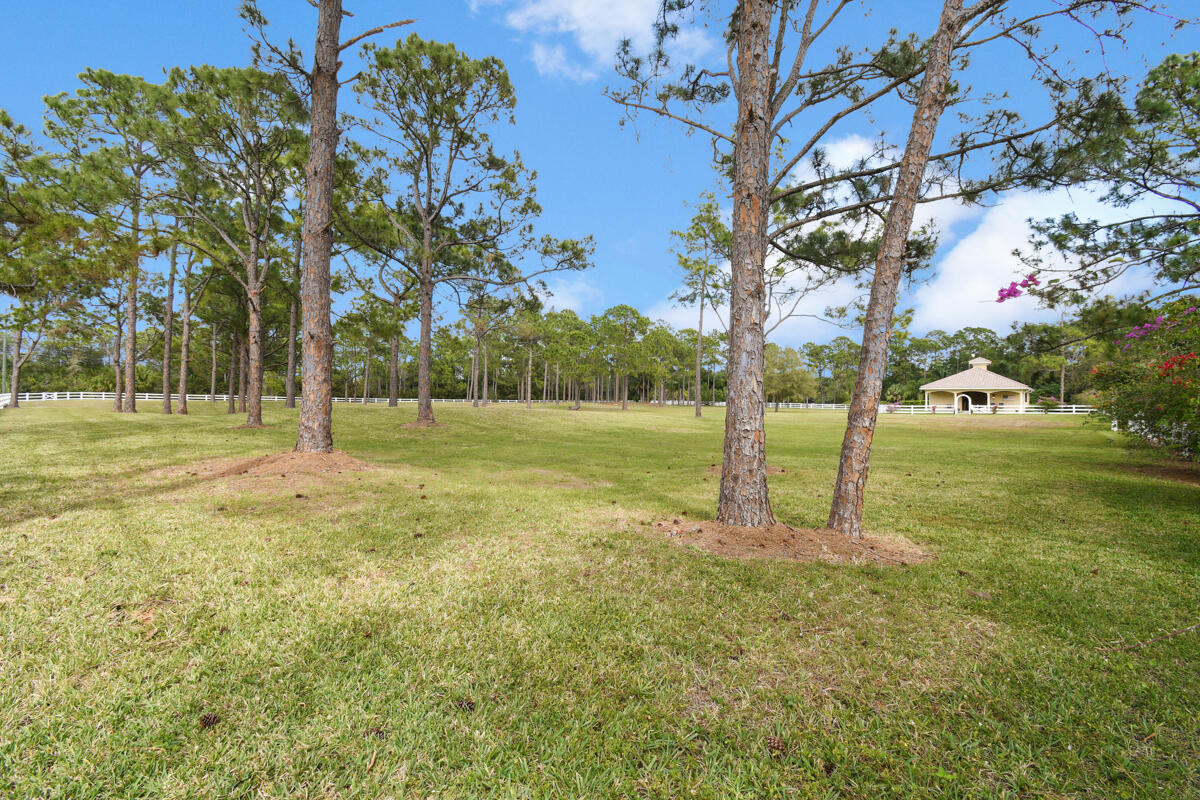 CALOOSA - Residential