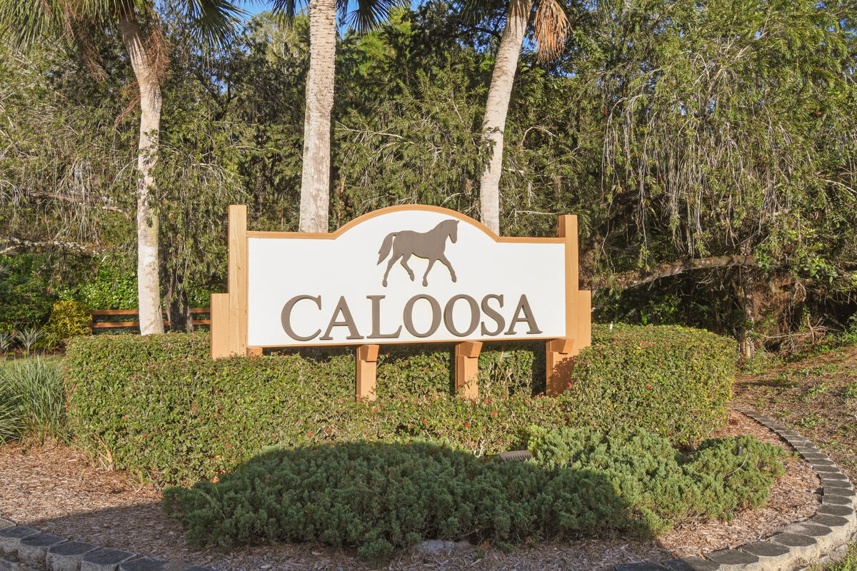CALOOSA - Residential