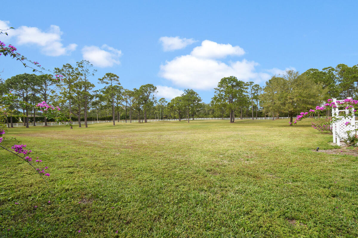 CALOOSA - Residential