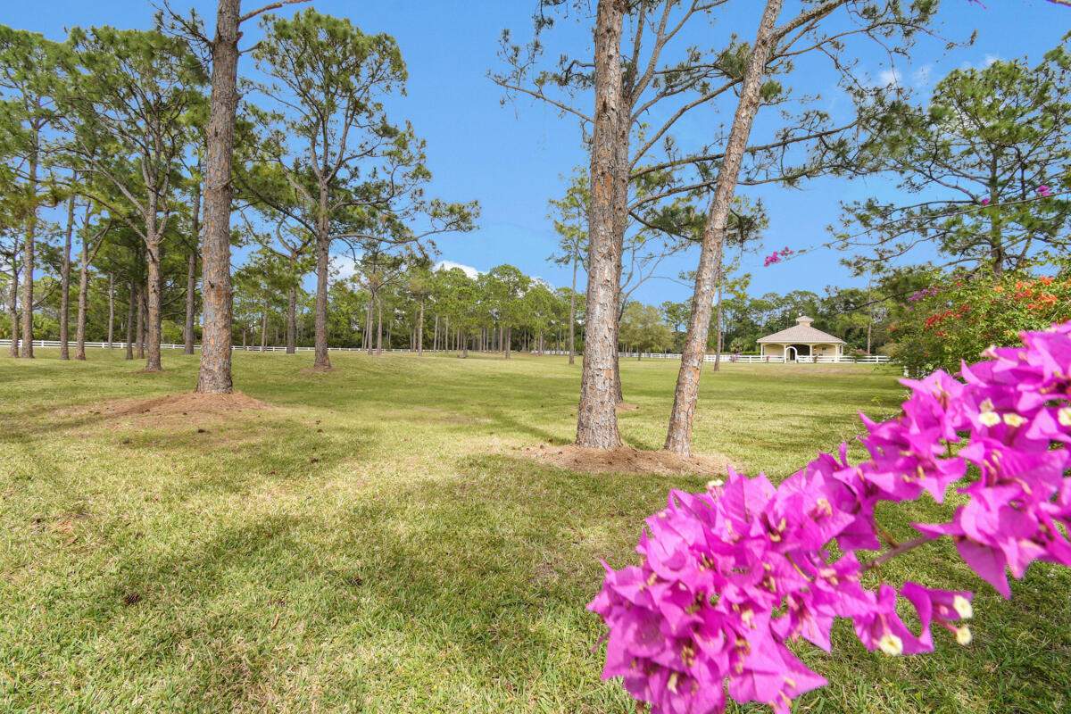 CALOOSA - Residential