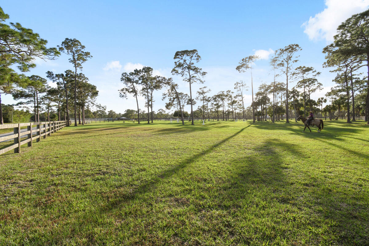 CALOOSA - Residential