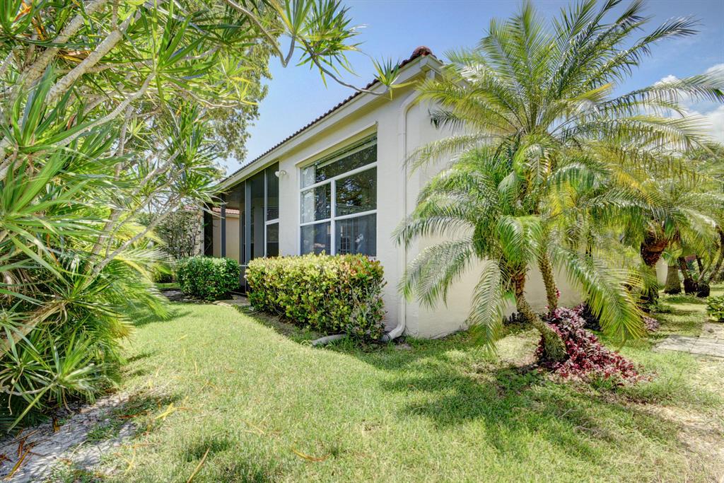 BUENA VIDA - Residential