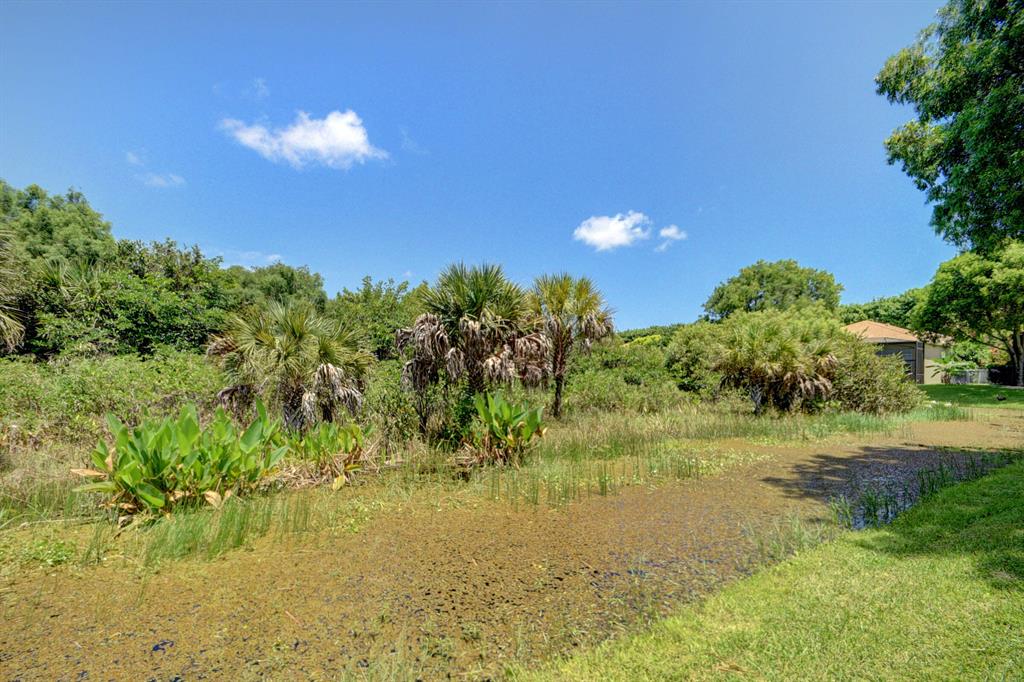 BUENA VIDA - Residential