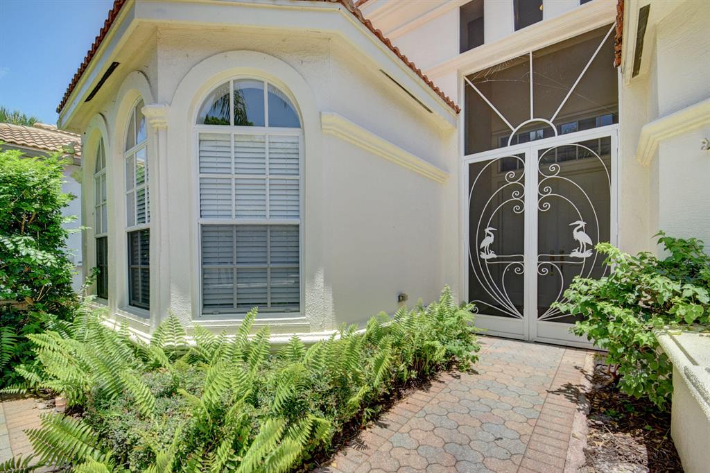 BUENA VIDA - Residential