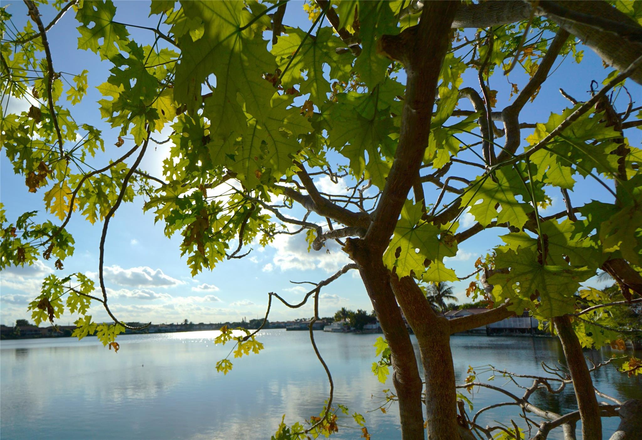 Lago Grande Condo - Residential Lease