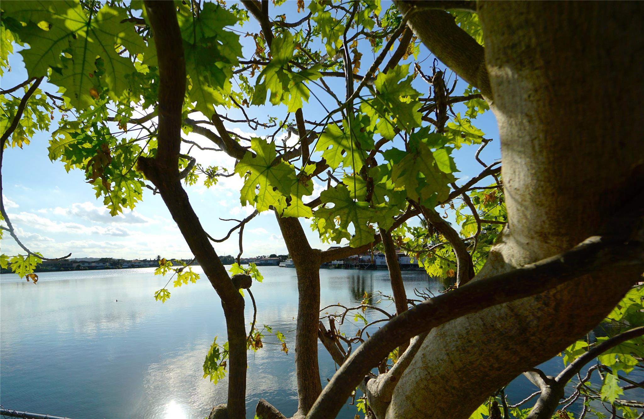 Lago Grande Condo - Residential Lease