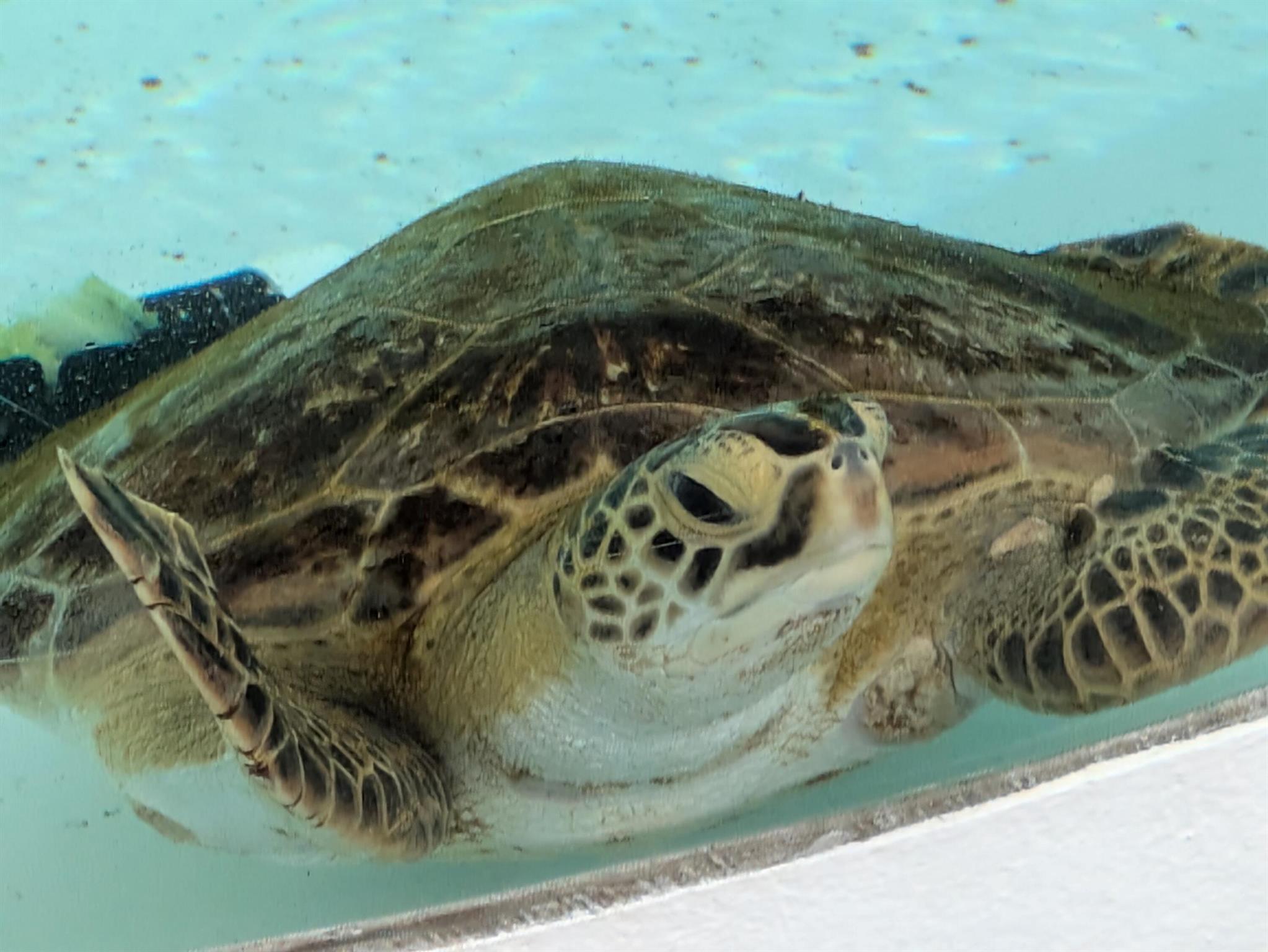 LAKE CLARKE GARDENS CONDO - Residential