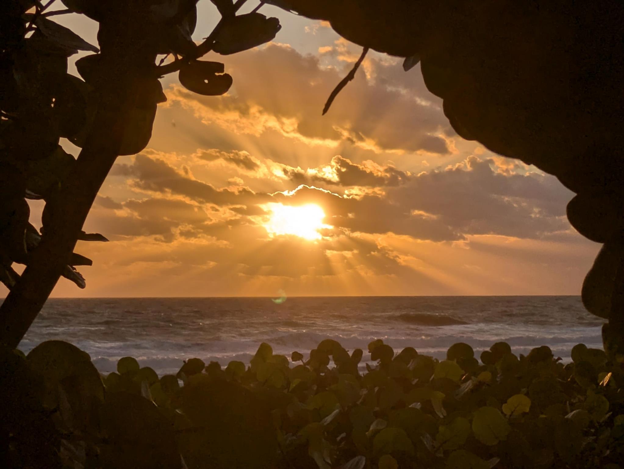 LAKE CLARKE GARDENS CONDO - Residential