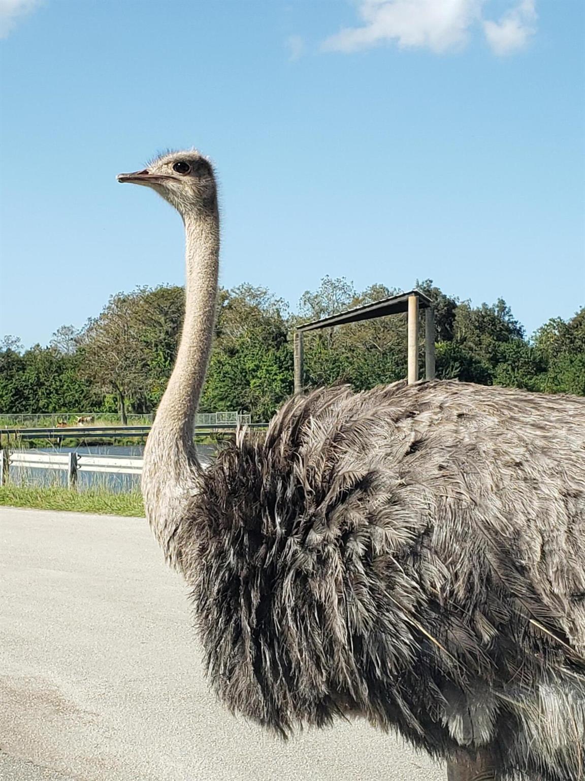 LAKE CLARKE GARDENS CONDO - Residential