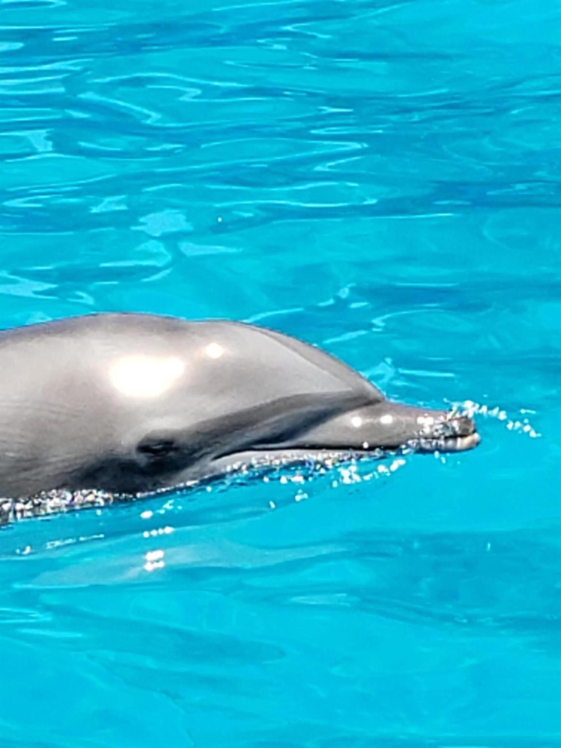 LAKE CLARKE GARDENS CONDO - Residential