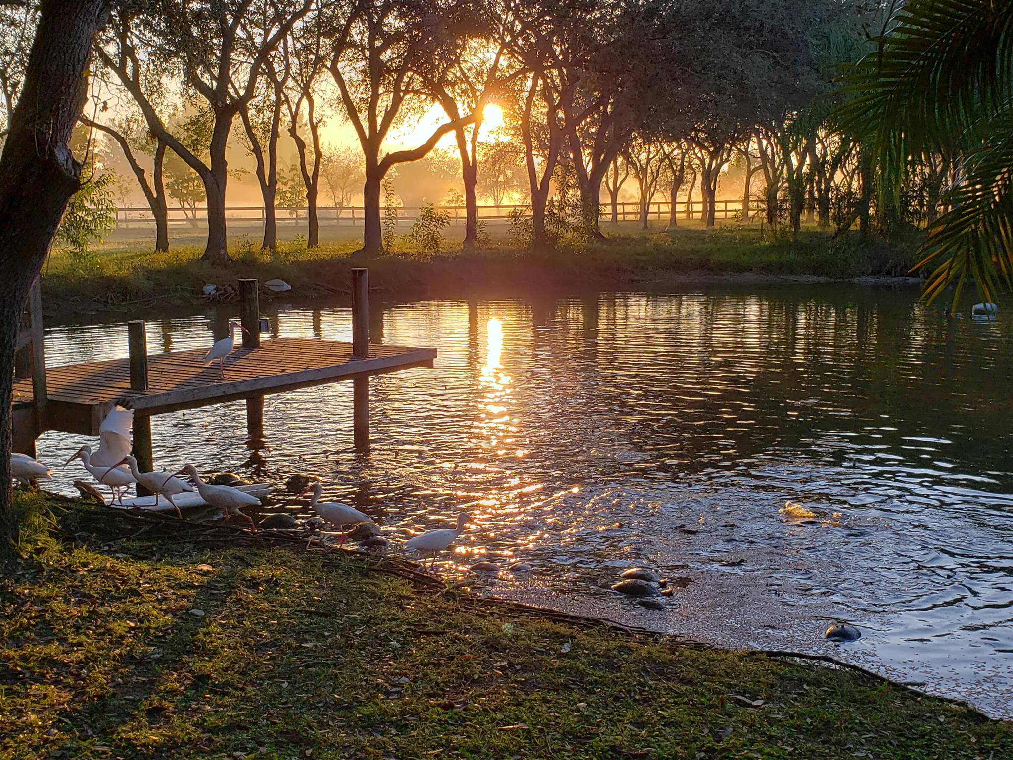 LAKE CLARKE GARDENS CONDO - Residential