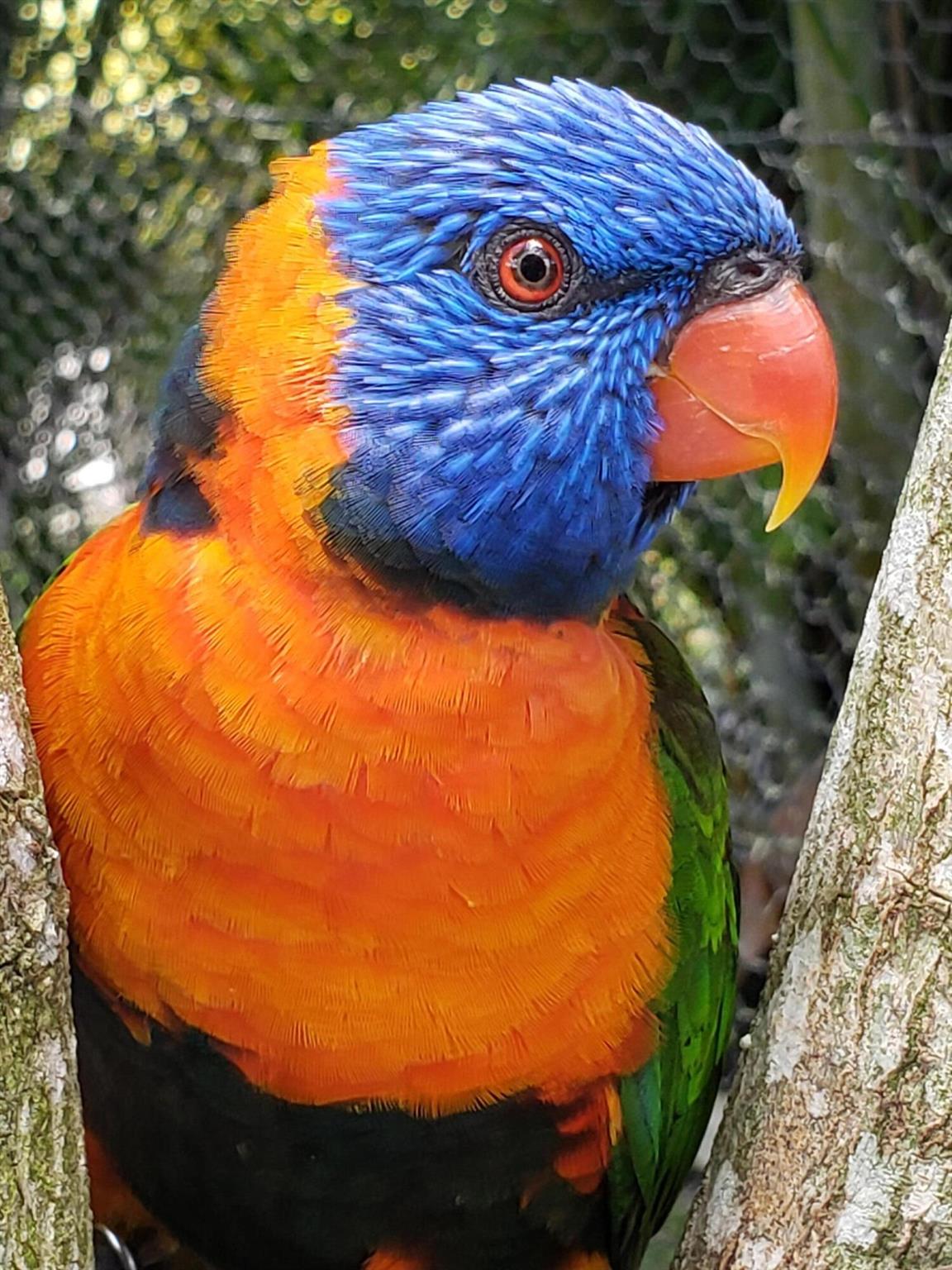 LAKE CLARKE GARDENS CONDO - Residential