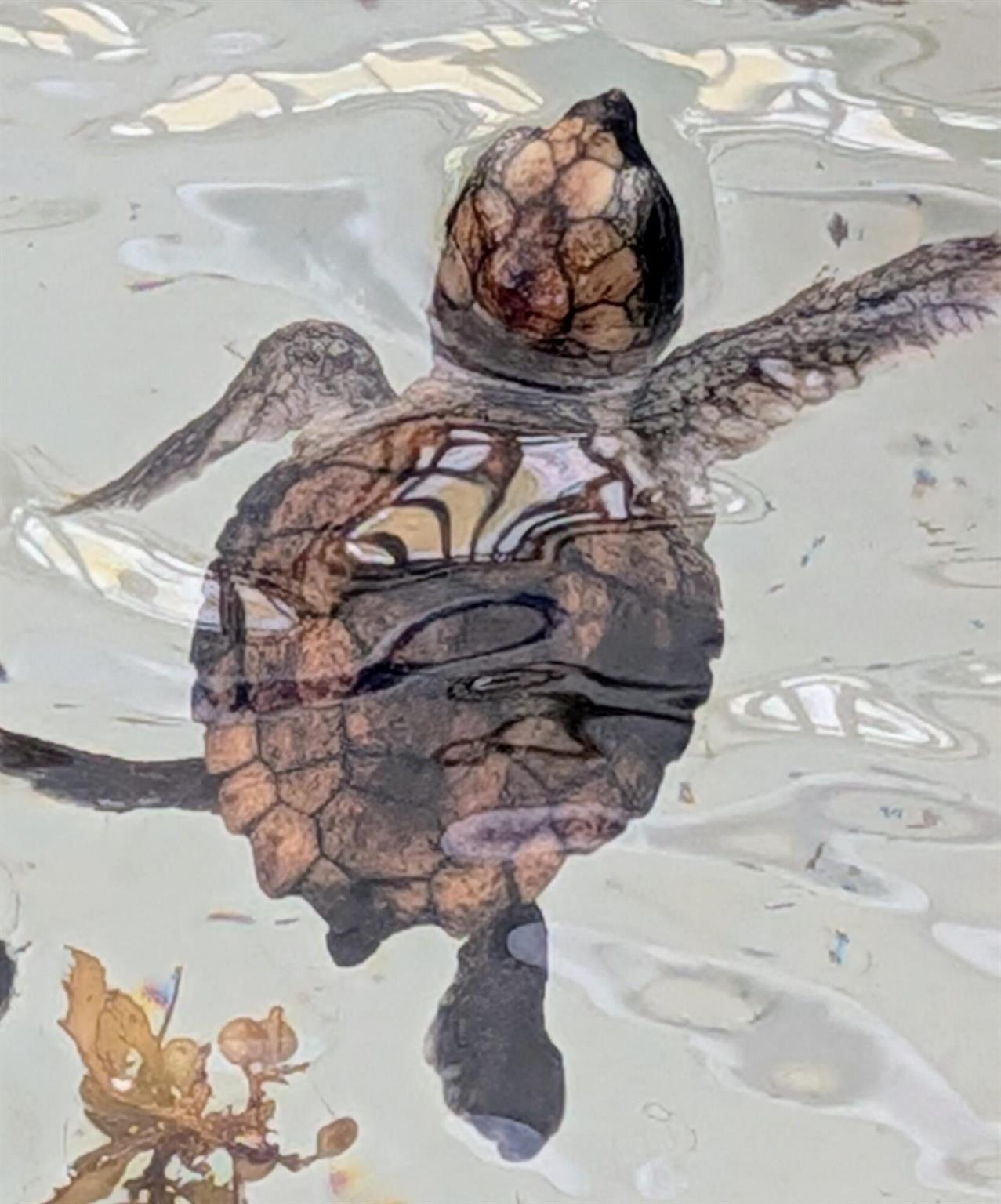 LAKE CLARKE GARDENS CONDO - Residential