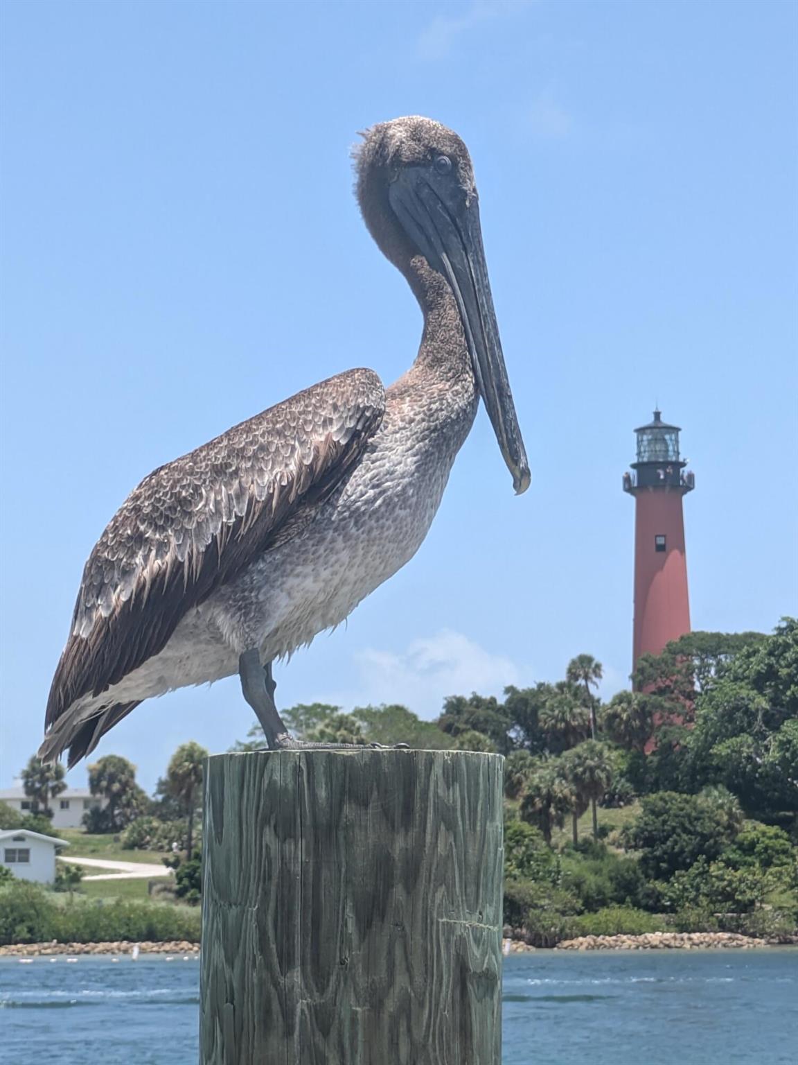 LAKE CLARKE GARDENS CONDO - Residential