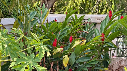 Tiny photo for 556 Deer Creek Via Genova, Deerfield Beach, FL 33442 (MLS # B26085662)