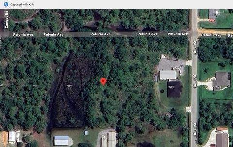 2013 Petunia Avenue Sebring FL 33875