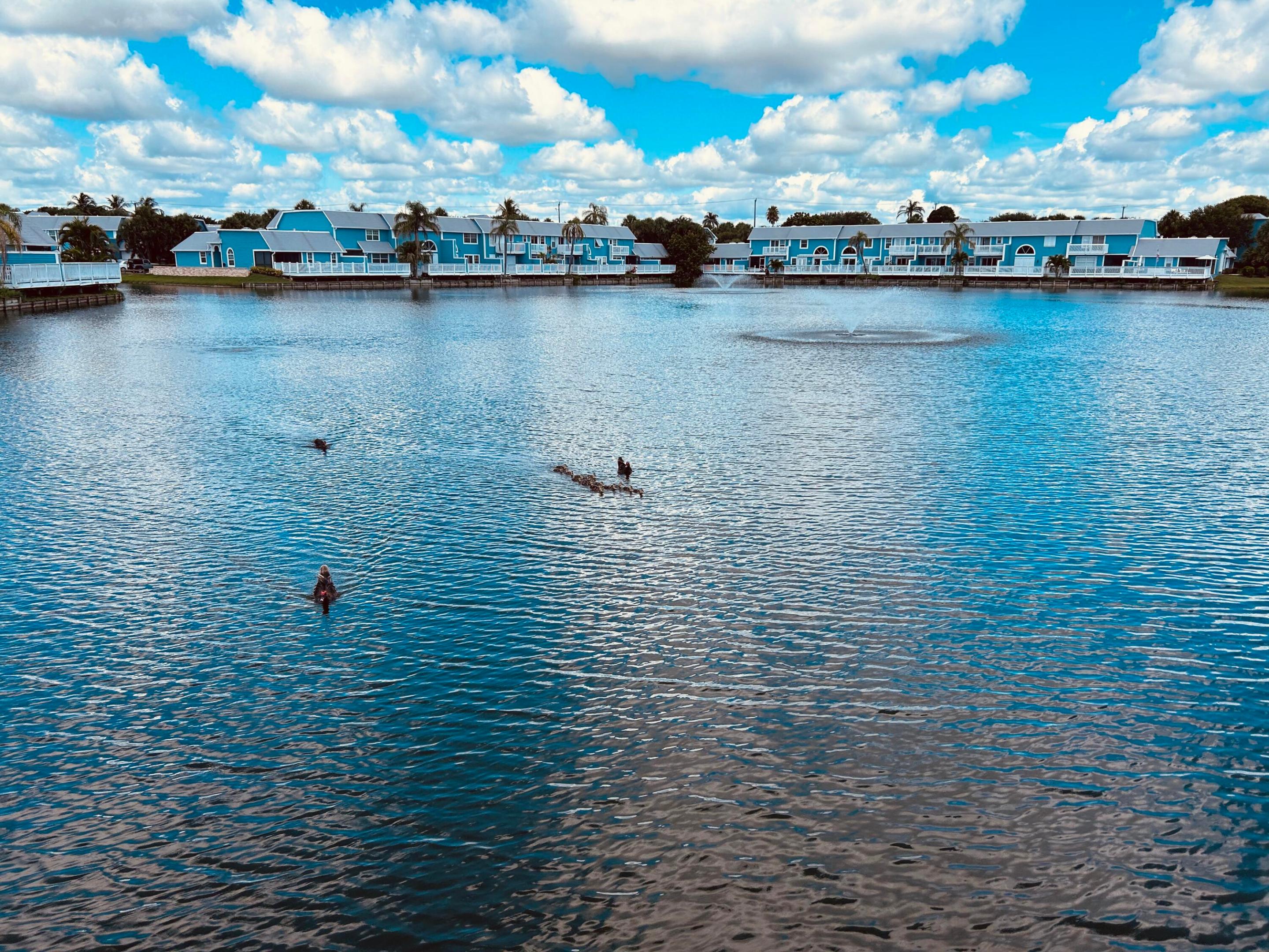 VILLAS OF OCEAN DUNES - Residential Lease