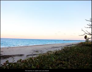 Beach Walk - Residential Lease