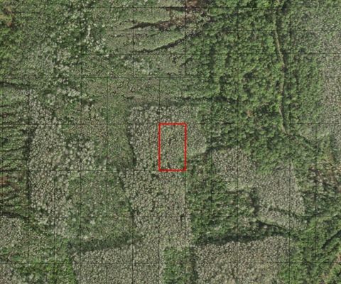 0 Holopaw Groves Road St Cloud FL 34772