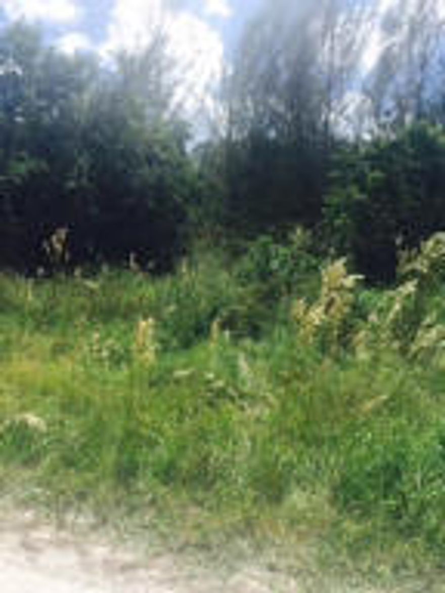 Beautiful corner lot on paved road close to schools.