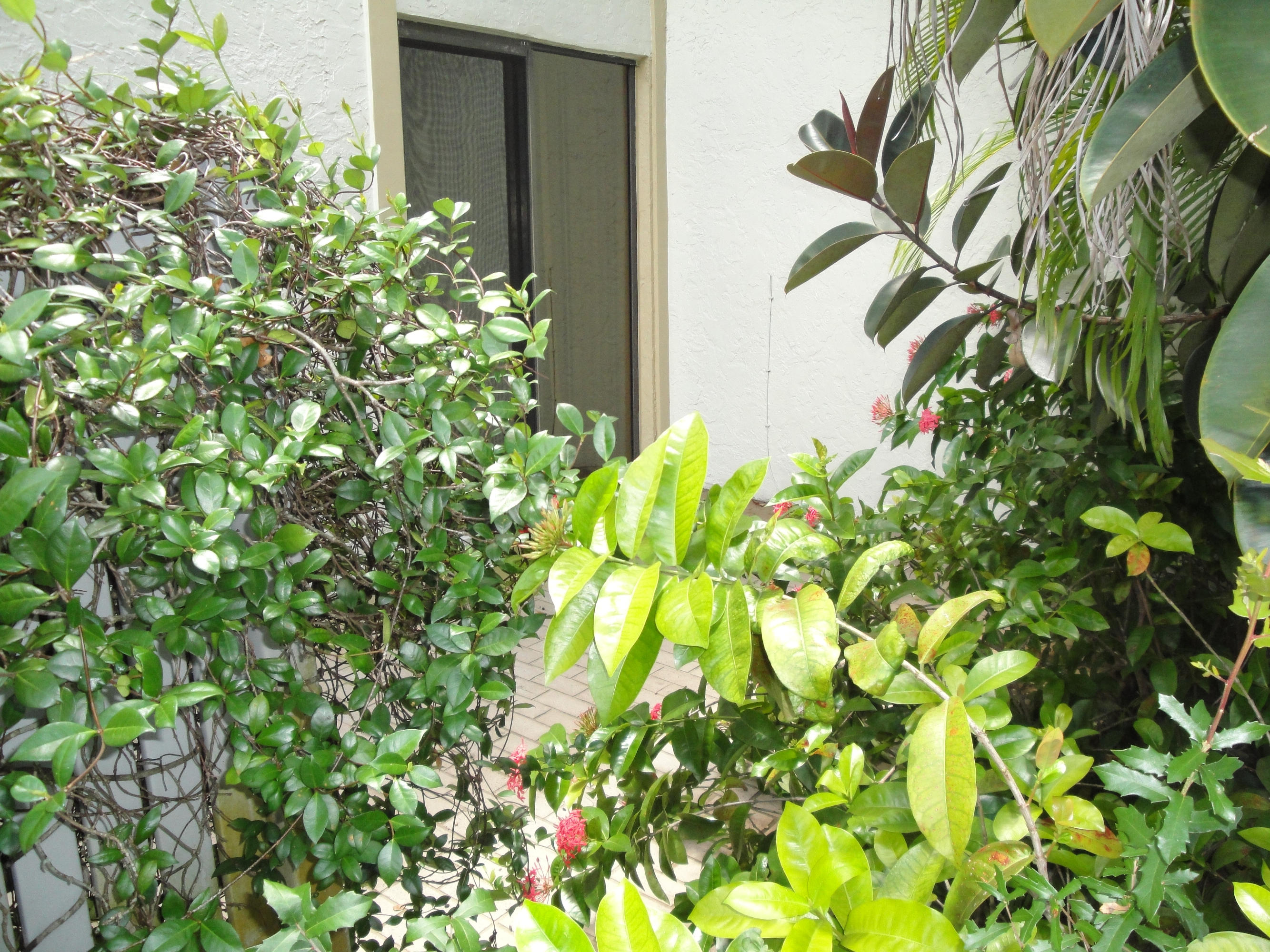 EASTGATE II AT HUNTERS RUN CONDO - Residential