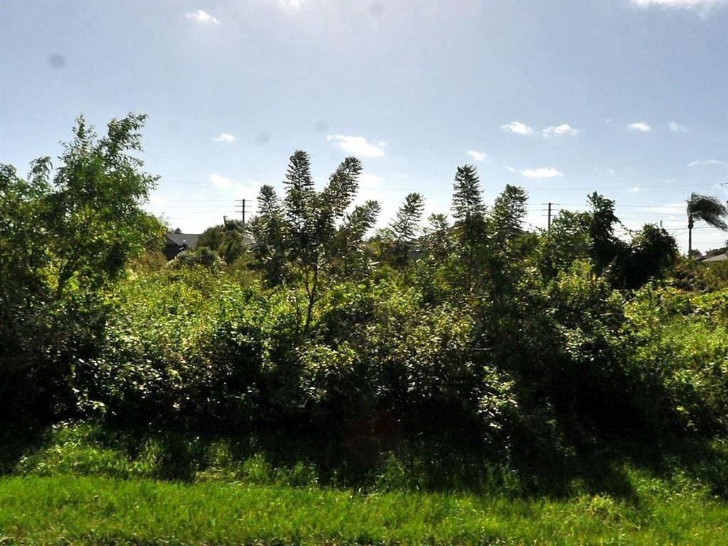 Photo of 2012 SE Giffen Avenue, Port Saint Lucie, FL 34952 (MLS # R10707117)