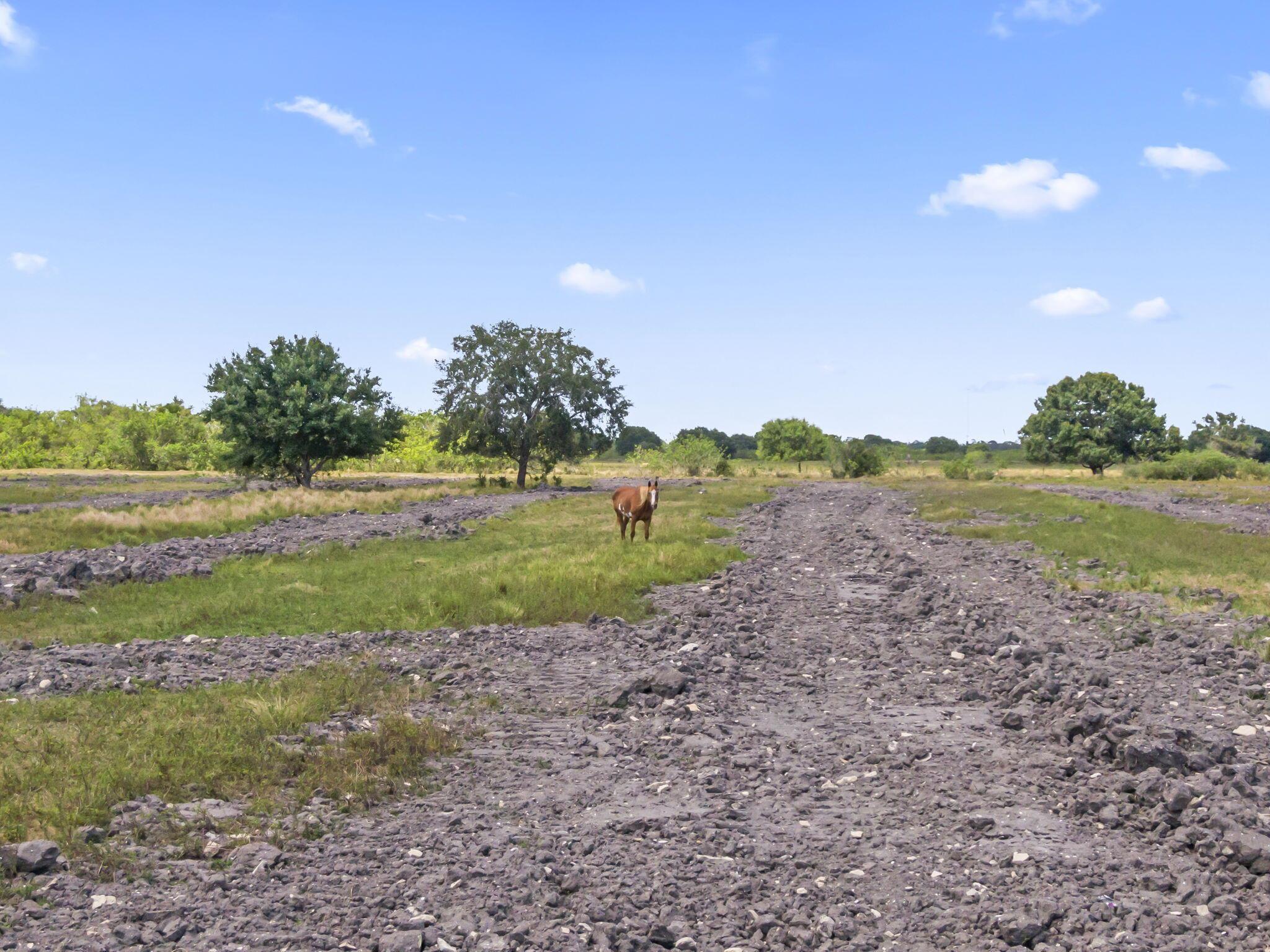 Acreage - Residential