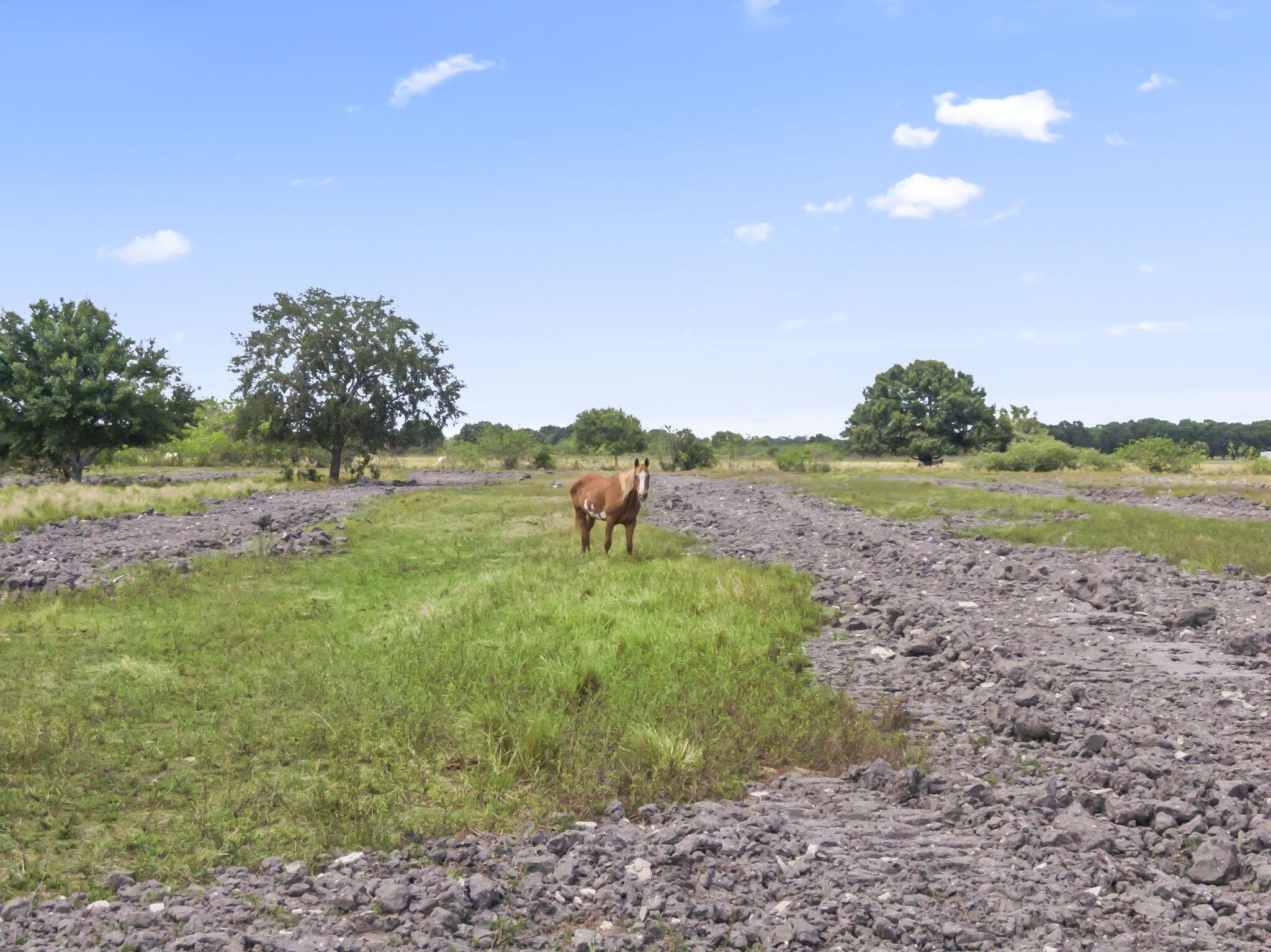 Acreage - Residential