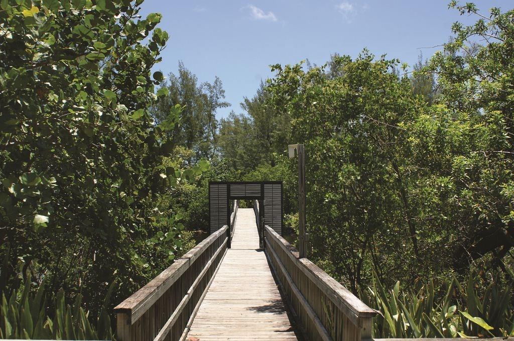 Lucille Island 37-19 B - Land