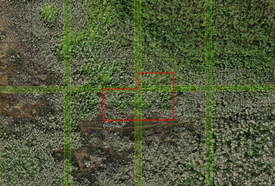 Holopaw offers vast, open spaces and abundant trails perfect for four-wheeler enthusiasts, making it a haven for off-road adventures. The area’s rich wildlife and serene natural environment provide excellent hunting opportunities for outdoor enthusiasts. Owning property in Holopaw ensures easy access to these activities, creating a personal retreat in the heart of Florida’s wilderness.