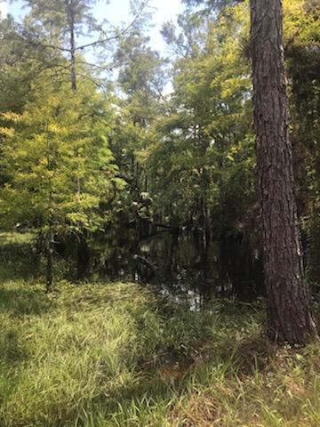 10364 W State Road 78