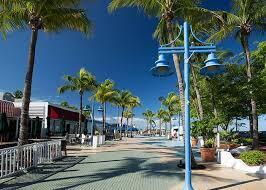 I75 north of Naple to Pondella Rd, est to NE Pine - Land