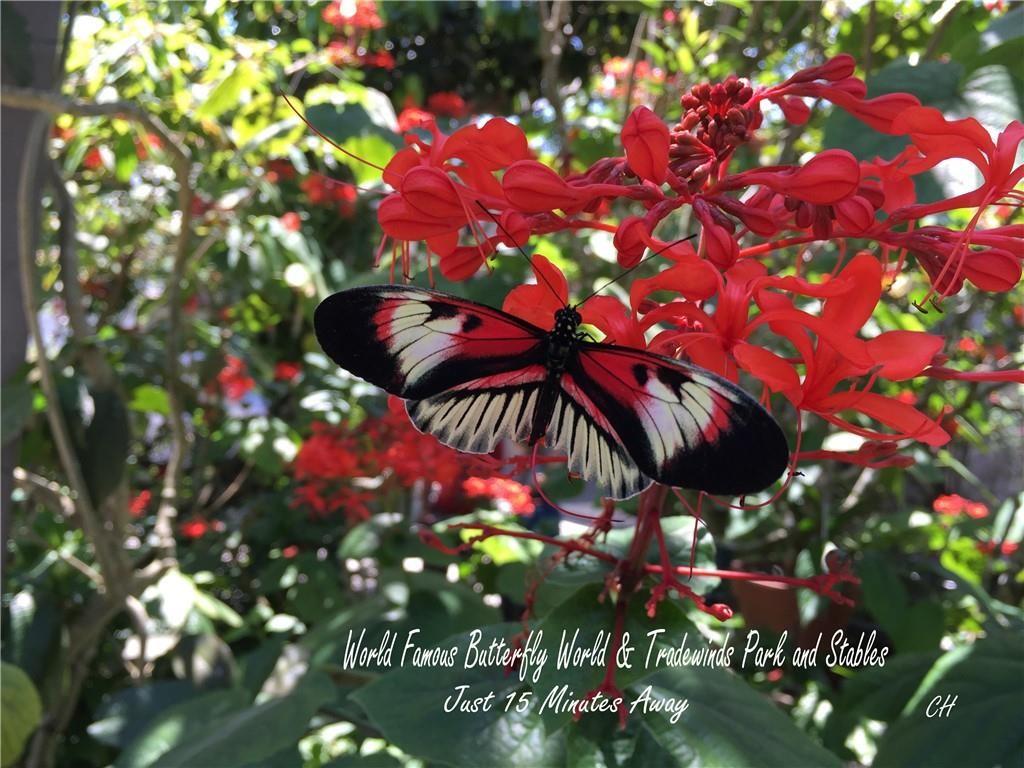 Palm Aire Country Club - Residential