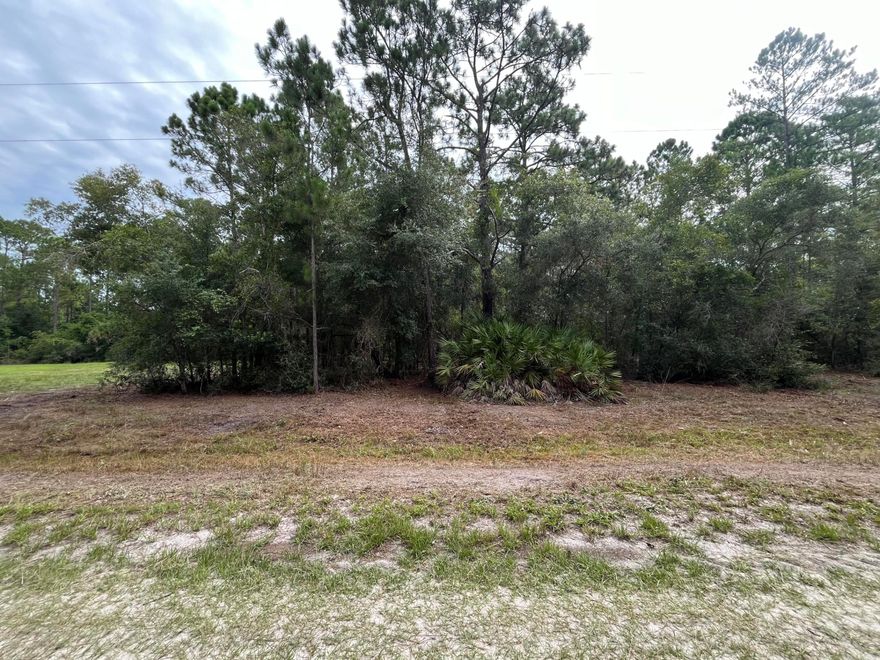Owner financing available. Discover a great opportunity to build your dream home in the growing city of Georgetown on this high and dry lot set in a peaceful, natural setting. The area offers abundant outdoor activities including boating, fishing, hiking, and camping, and is just a short distance from Lake George. Conveniently located near schools, restaurants, parks, and local amenities. Whether you're planning to build a primary home, a vacation getaway, or hold as a long-term investment, this property offers excellent potential. The adjacent 122 Glenside lot is also available — purchase to own nearly half an acre. Buyer to verify all property details including zoning, utilities, land use, and building requirements. All information deemed reliable but not guaranteed.