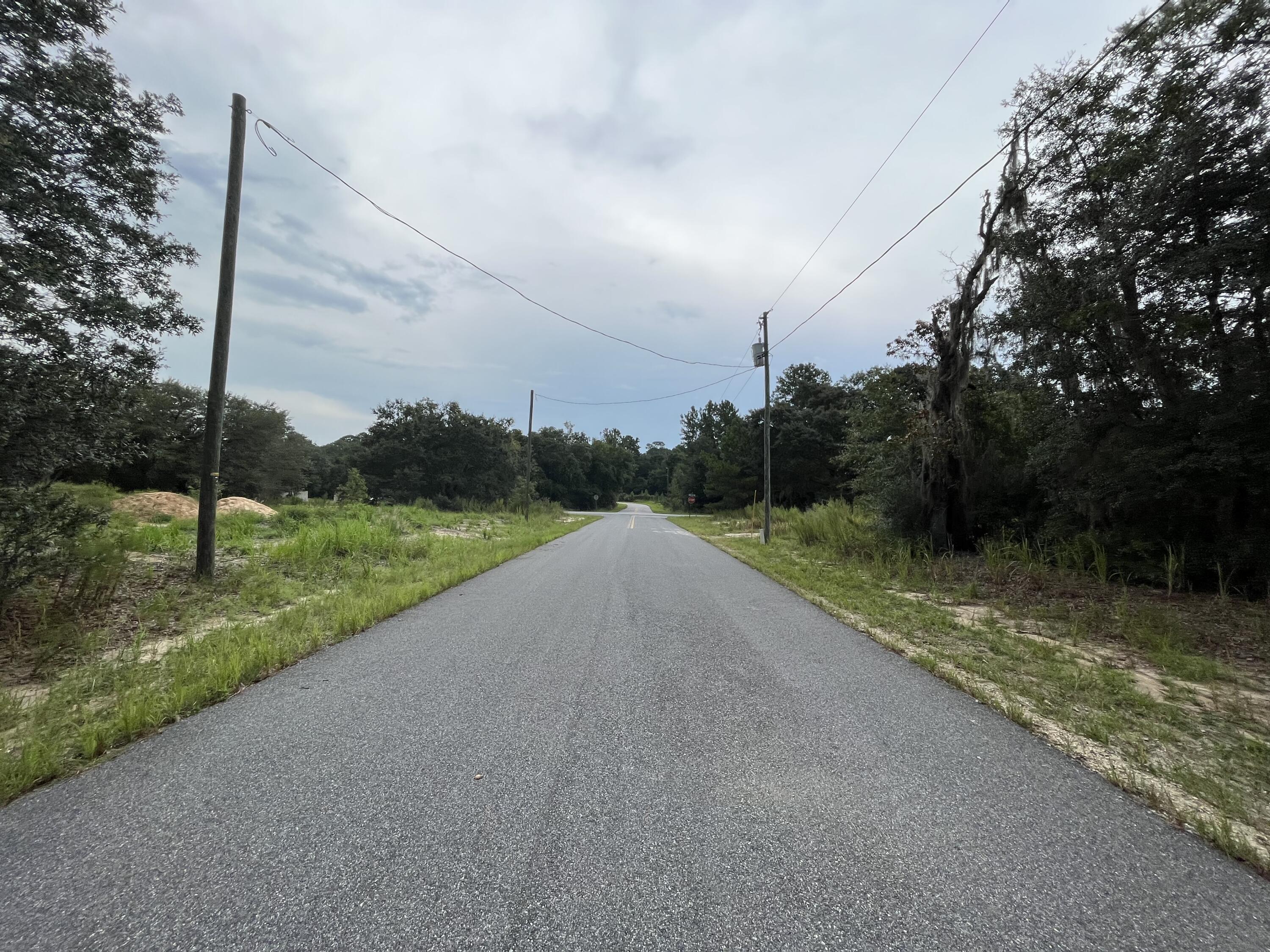 SILVER SPRINGS SHORES - Land