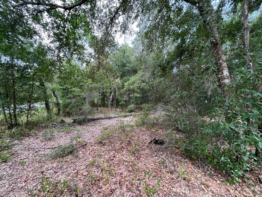 Looking to build your dream home away from the city noise but close enough to the city conveniences? Look no further! Close to just about everything. Located in Silver Springs Shores, east of Maricamp Road. This parcel is on a paved road and zoned for Single Family Dwelling site-built homes only. Power lines running through front of property. With many new homes in this area. Close to shopping, schools, and restaurants. Easy access to Ocala, Belleview, and the Villages Owner Financing available