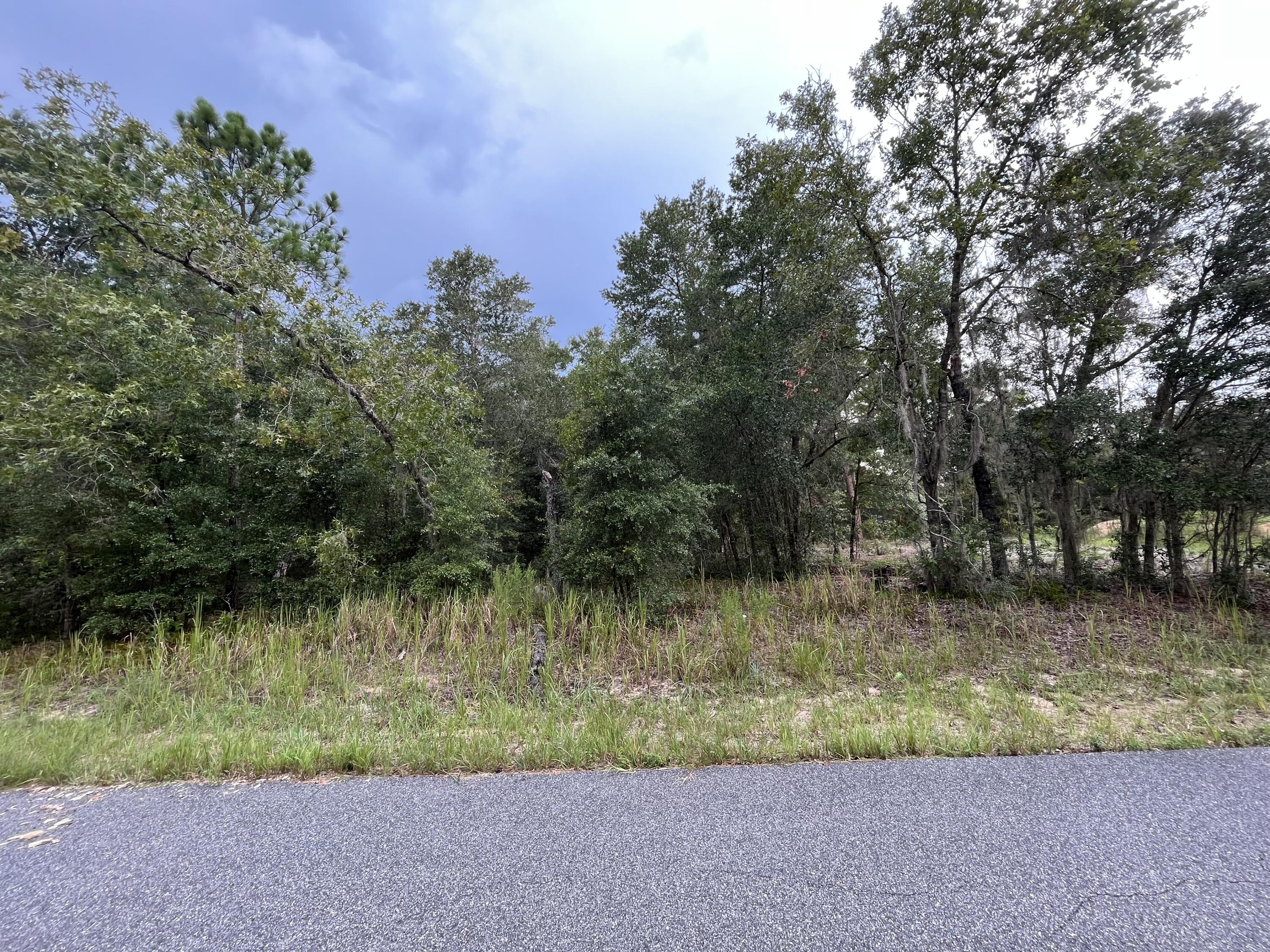 SILVER SPRINGS SHORES - Land