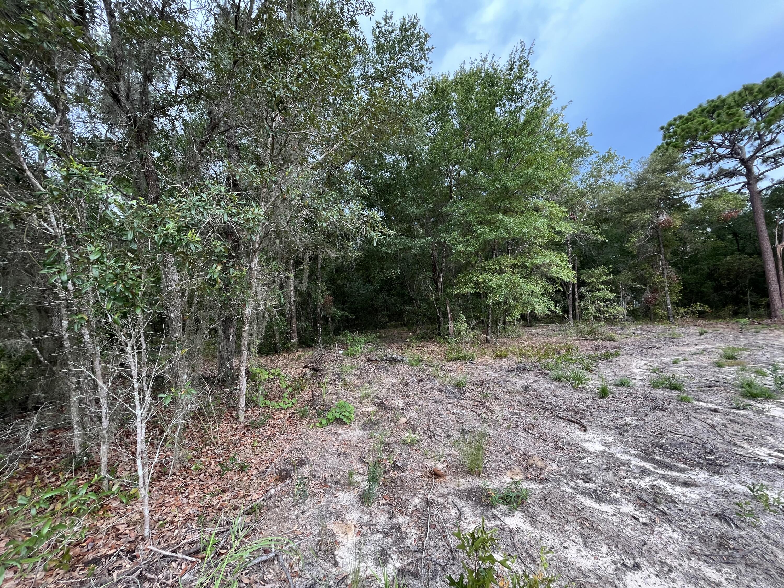 SILVER SPRINGS SHORES - Land