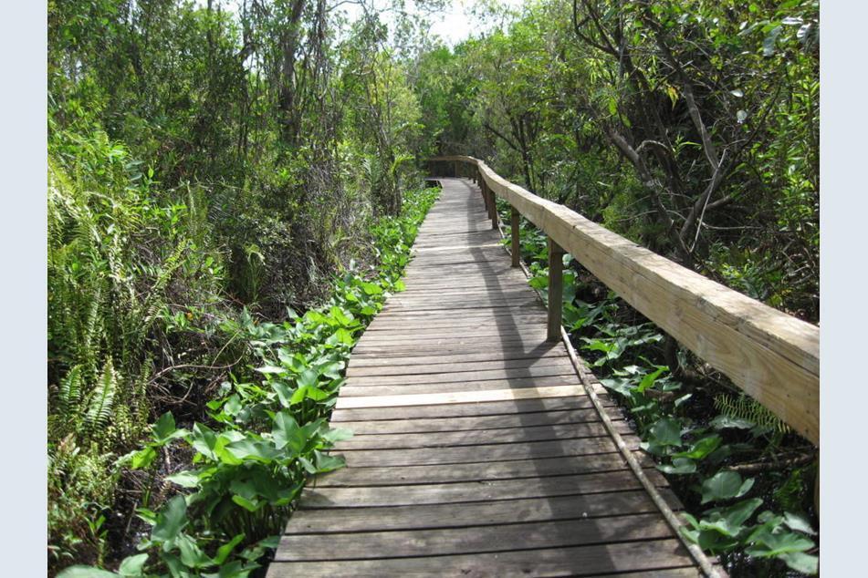 RIVER PINES - Residential Lease