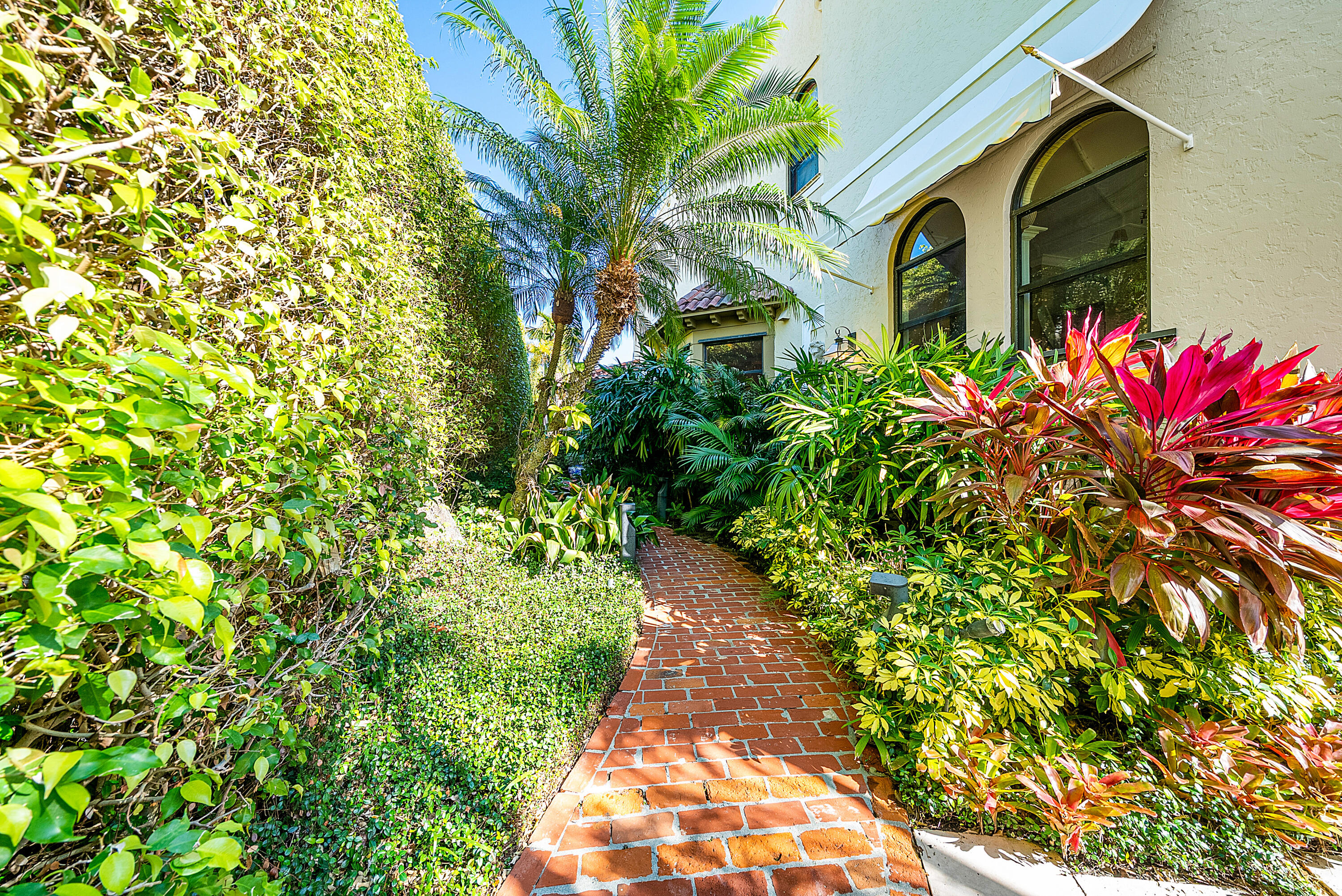 245 Brazilian Avenue