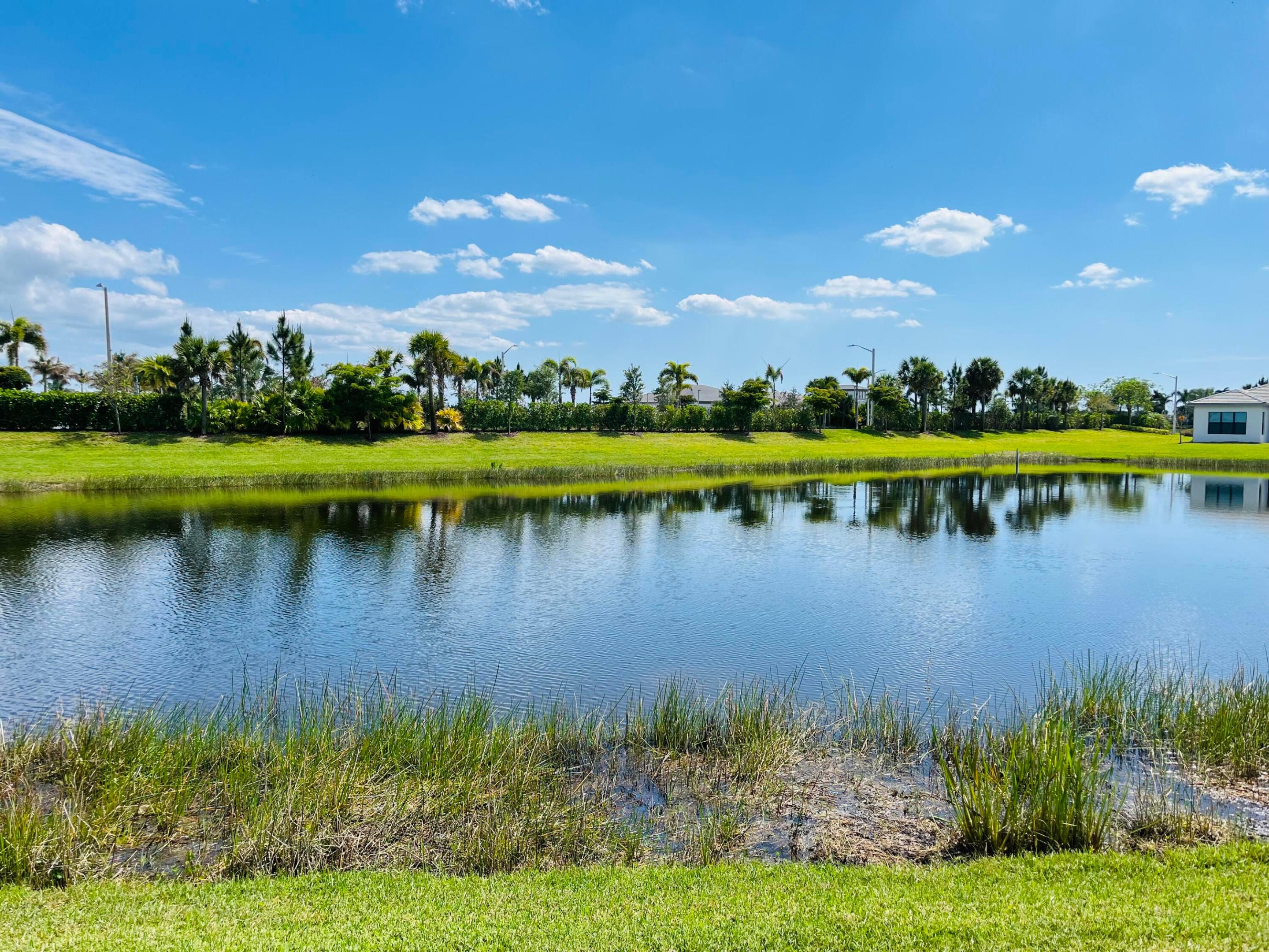 Valencia Parc at Riverland - Residential