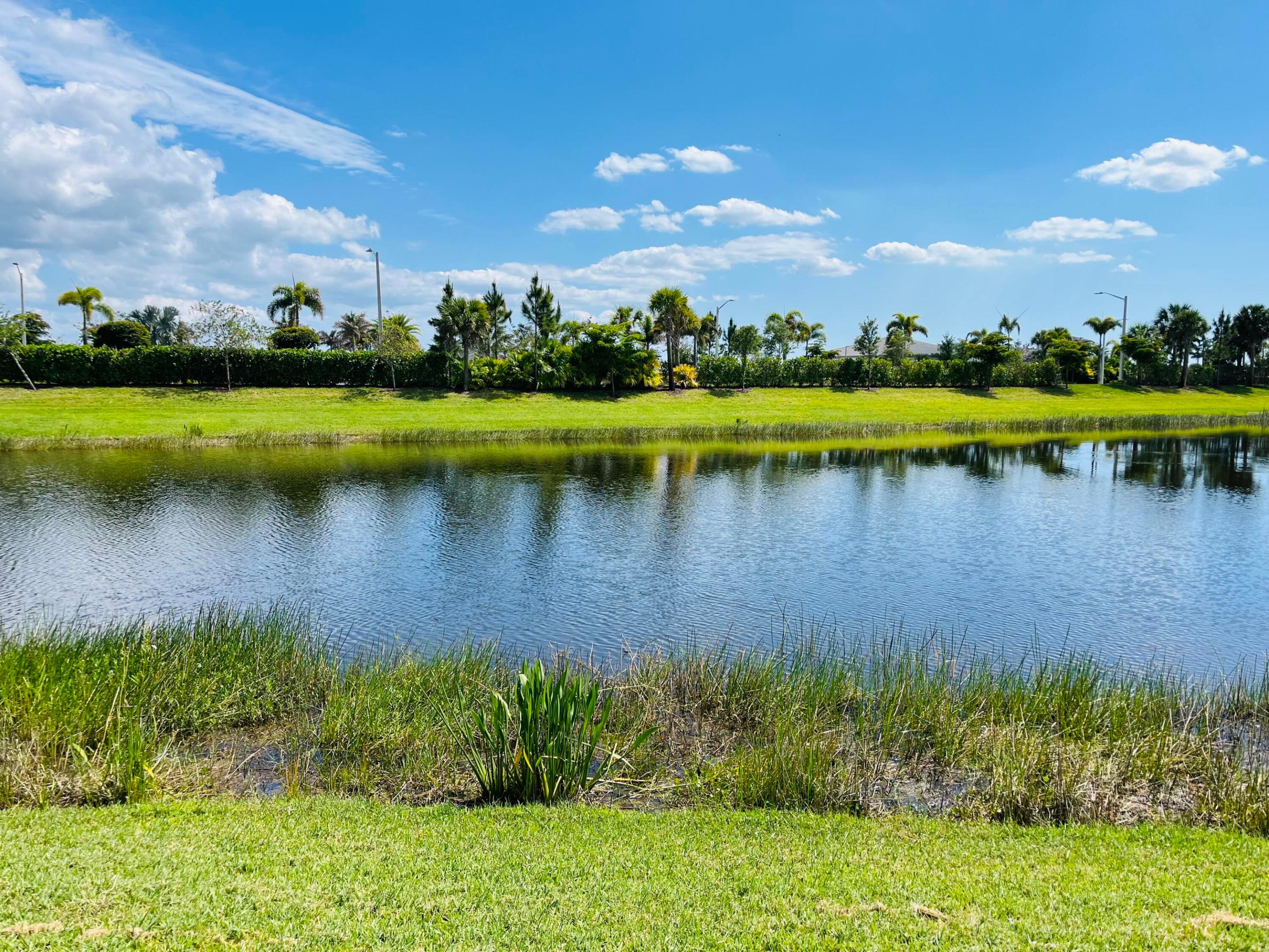 Valencia Parc at Riverland - Residential