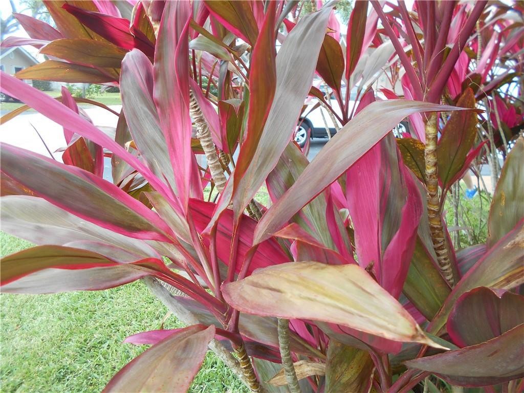 Crystal Key Pointe - Residential